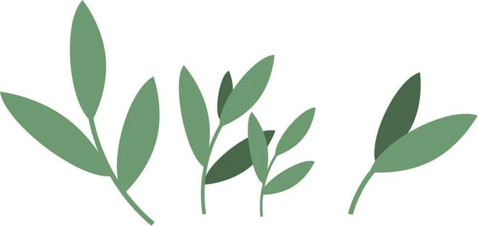 宝宝防蚊攻略：物理驱蚊和化学驱蚊全攻略