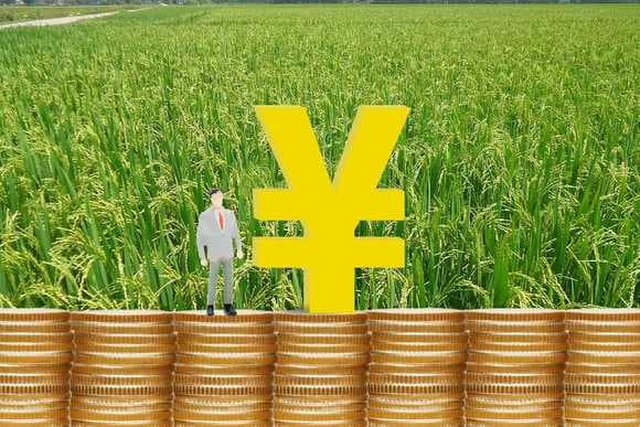 农民流转土地需缴纳个人所得税，具体政策因地而异