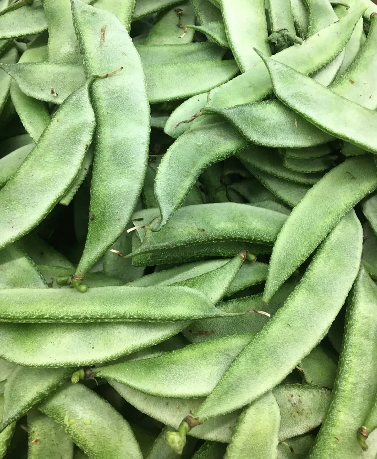 干煸豆角：夏季餐桌上的低卡高纤健康菜