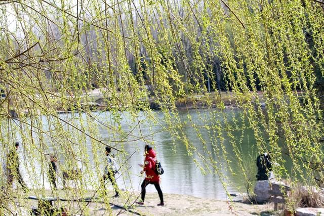春天，这4种鱼正当季，便宜鲜嫩无养殖，老渔民：正肥美，别错过