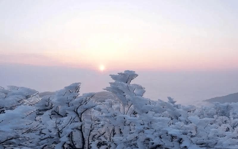 为什么带雪的诗句那么多？请列举其中5个最经典的句子