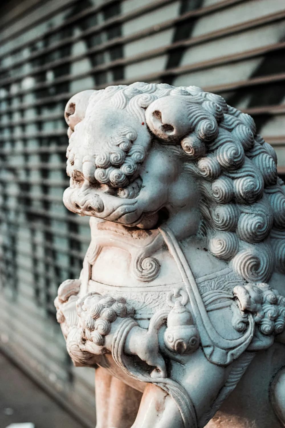 狮子在中国文化中的地位与影响