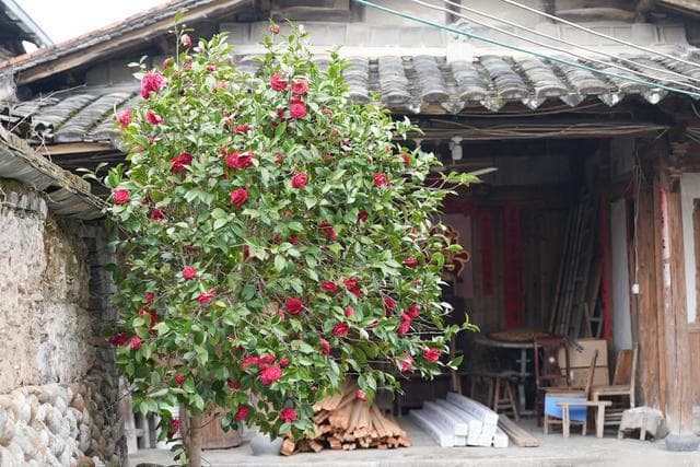 永泰古镇探秘：后悔没有早点发现这片历史宝地