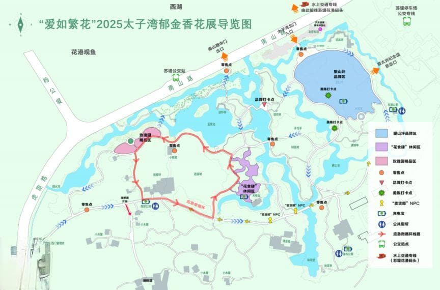 2025杭州太子湾郁金花展：三大展区特色全解析，本周末进入最佳观赏期