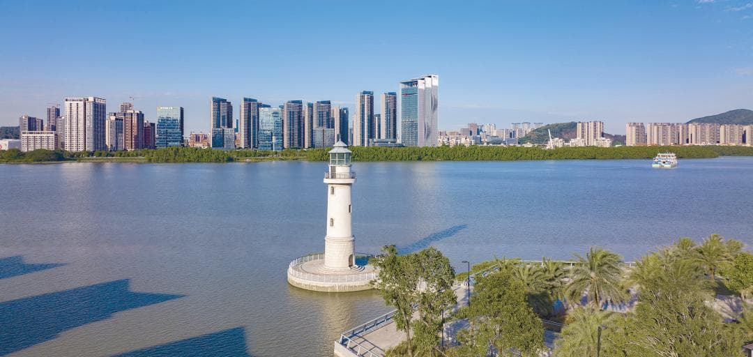谢伟：奋力打造科技成果转化高地 助力大湾区国际科创中心建设