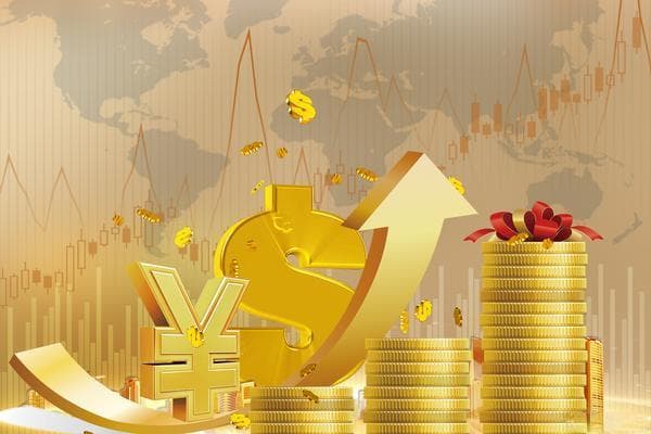 判定纠纷退款依据：法律规定与合同条款的综合考量