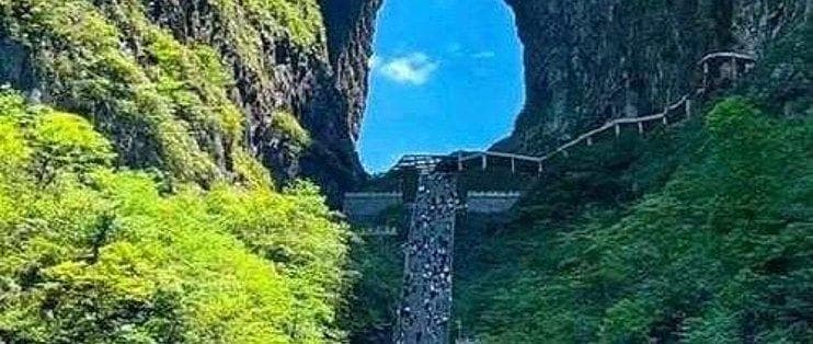 从基础到进阶：劈叉训练的系统方法