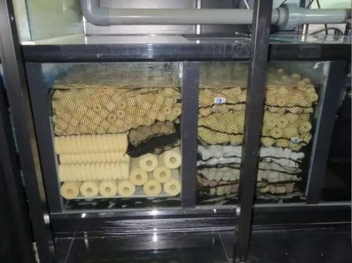 新手养鱼必备，鱼缸过滤器选购指南！