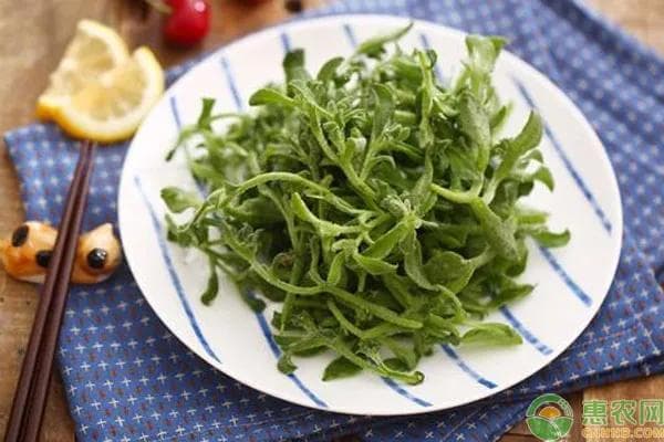 冰草又叫做冰菜，有哪些营养价值？冰菜的三种常见吃法