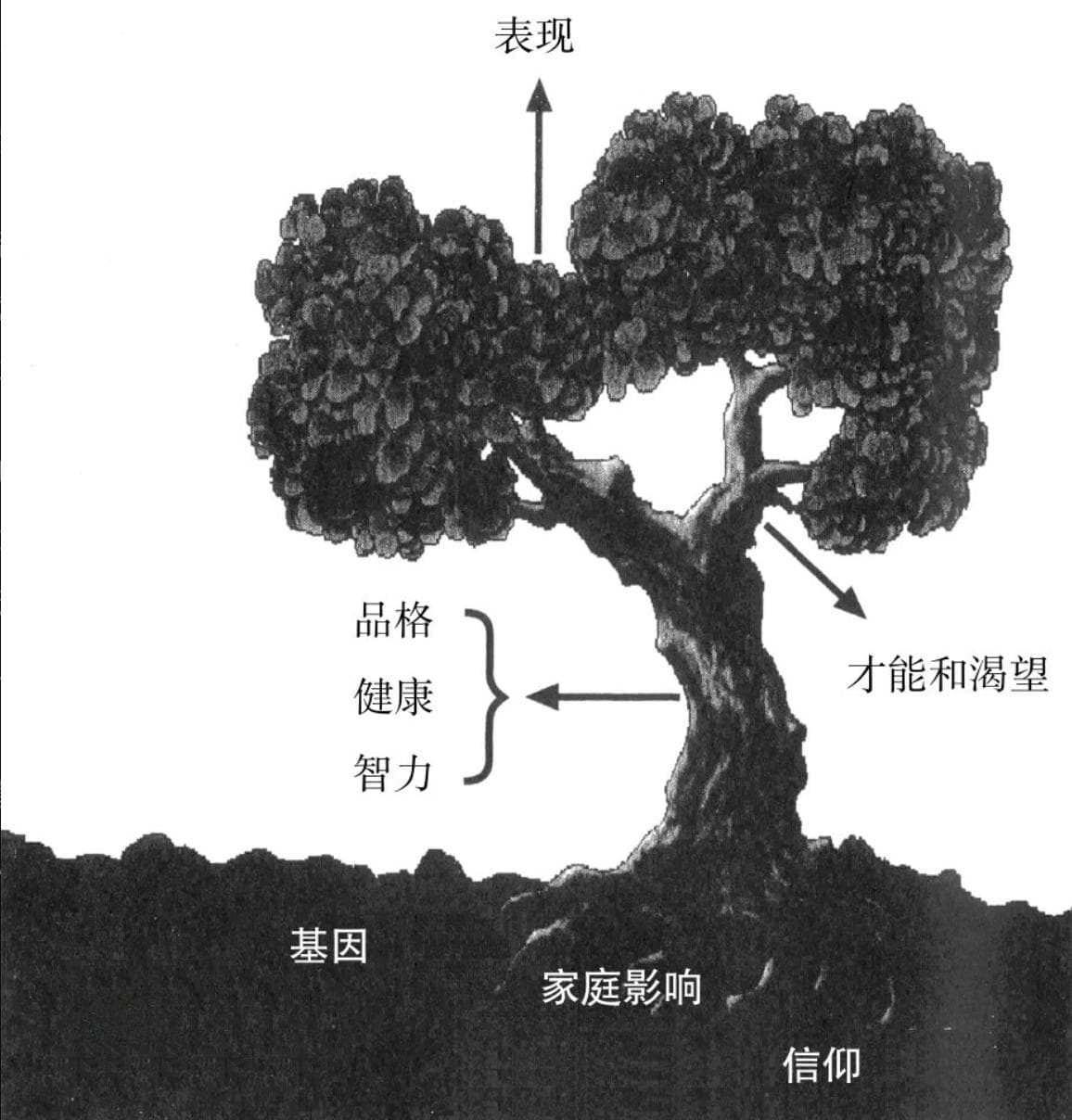 逆商：应对逆境的核心能力