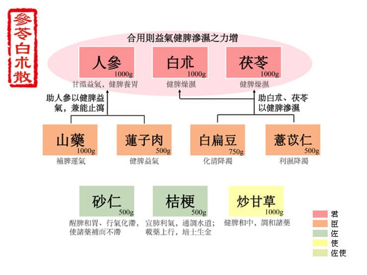 参苓白术散：健脾益气，和胃渗湿的中医典方