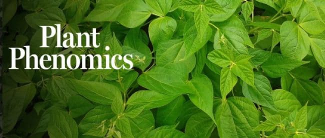 利用3D植物和辐射传输建模框架模拟自动标注的可见光和多/高光谱图像