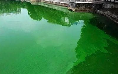 鱼池塘养殖水质监测方案