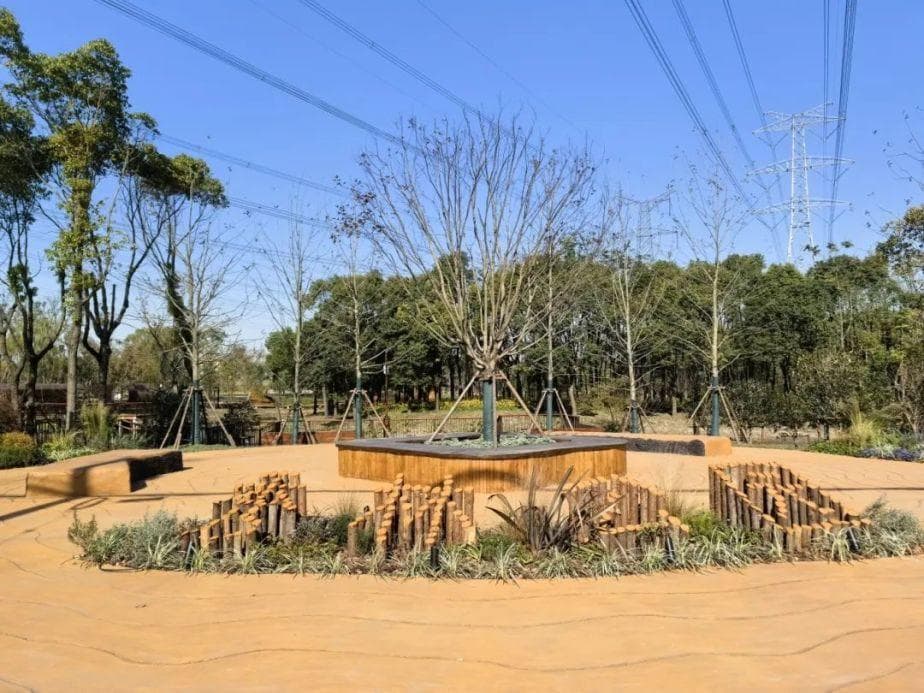 推进“环城生态公园带”建设，浦东这个“环上”公园开放
