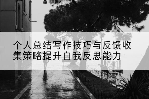 个人总结写作技巧与反馈收集策略提升自我反思能力