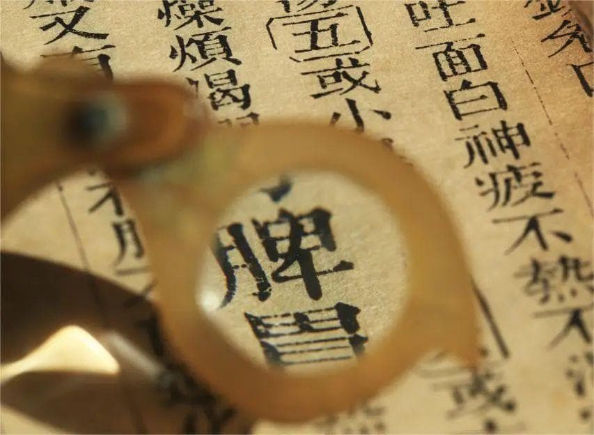 夏季补脾正当时，不同证型常用中药分享