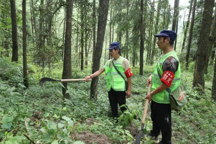 连晴高温下，山城重庆如何应对？