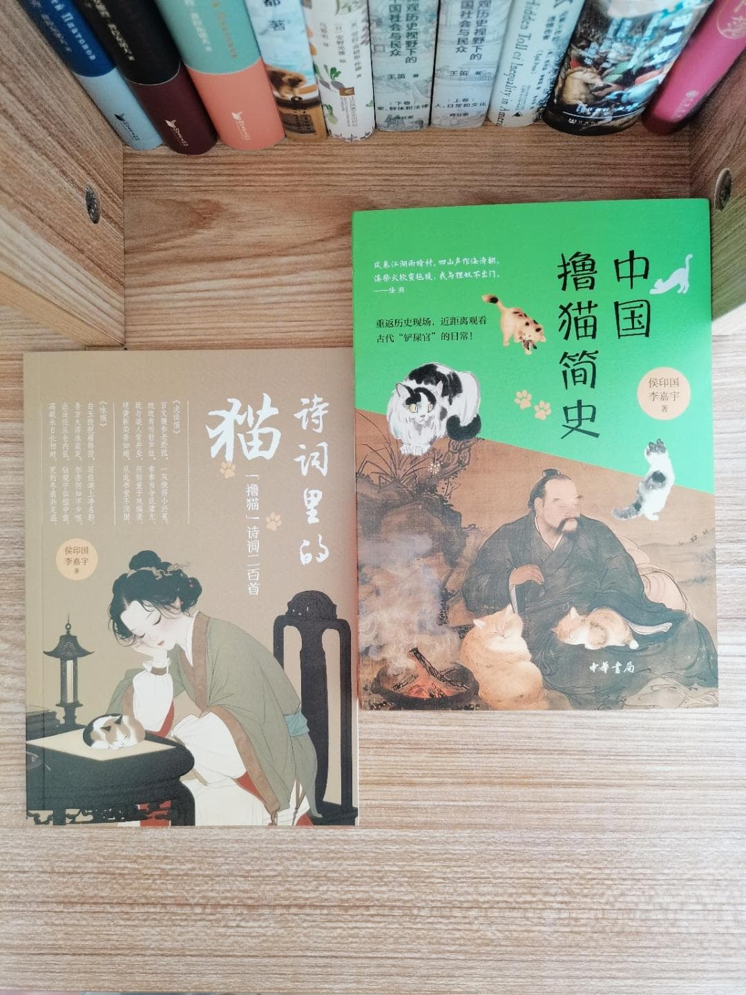 揭秘古代猫奴的生活与奇趣文化！