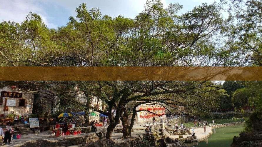 德阳出发至峨眉山四日游详细费用解析，包括交通、住宿和门票全攻略