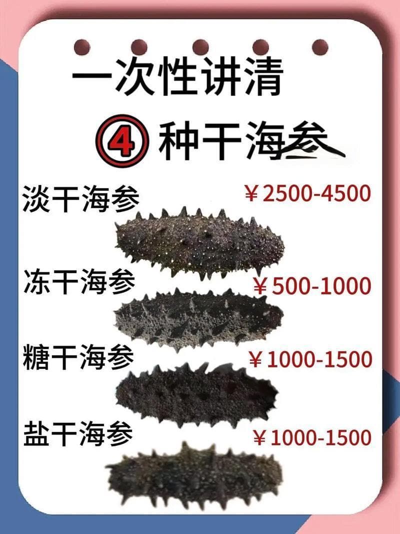多重因素影响下的海参价格揭秘与市场走势深度分析