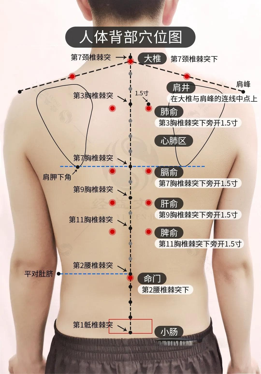 一套神奇的手法，按穴位找痛点，就知道“病在哪里”