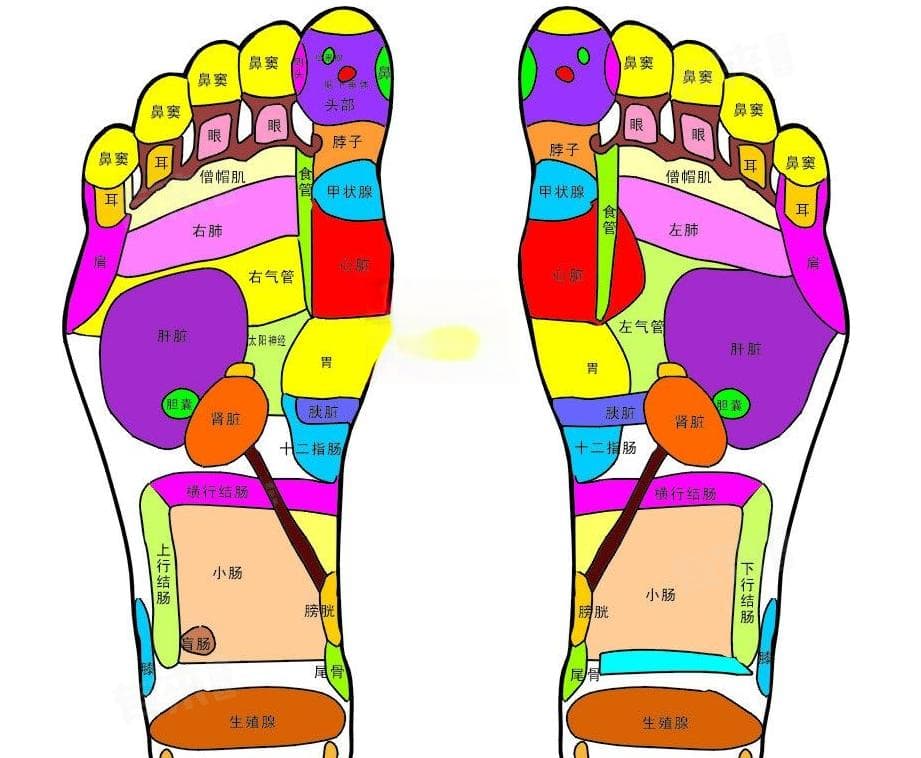 脚心穴位：涌泉、独阴、里内庭等穴位详解及按摩方法