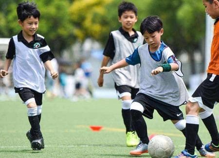梦见鸡的解梦含义：从周公解梦到心理学解读