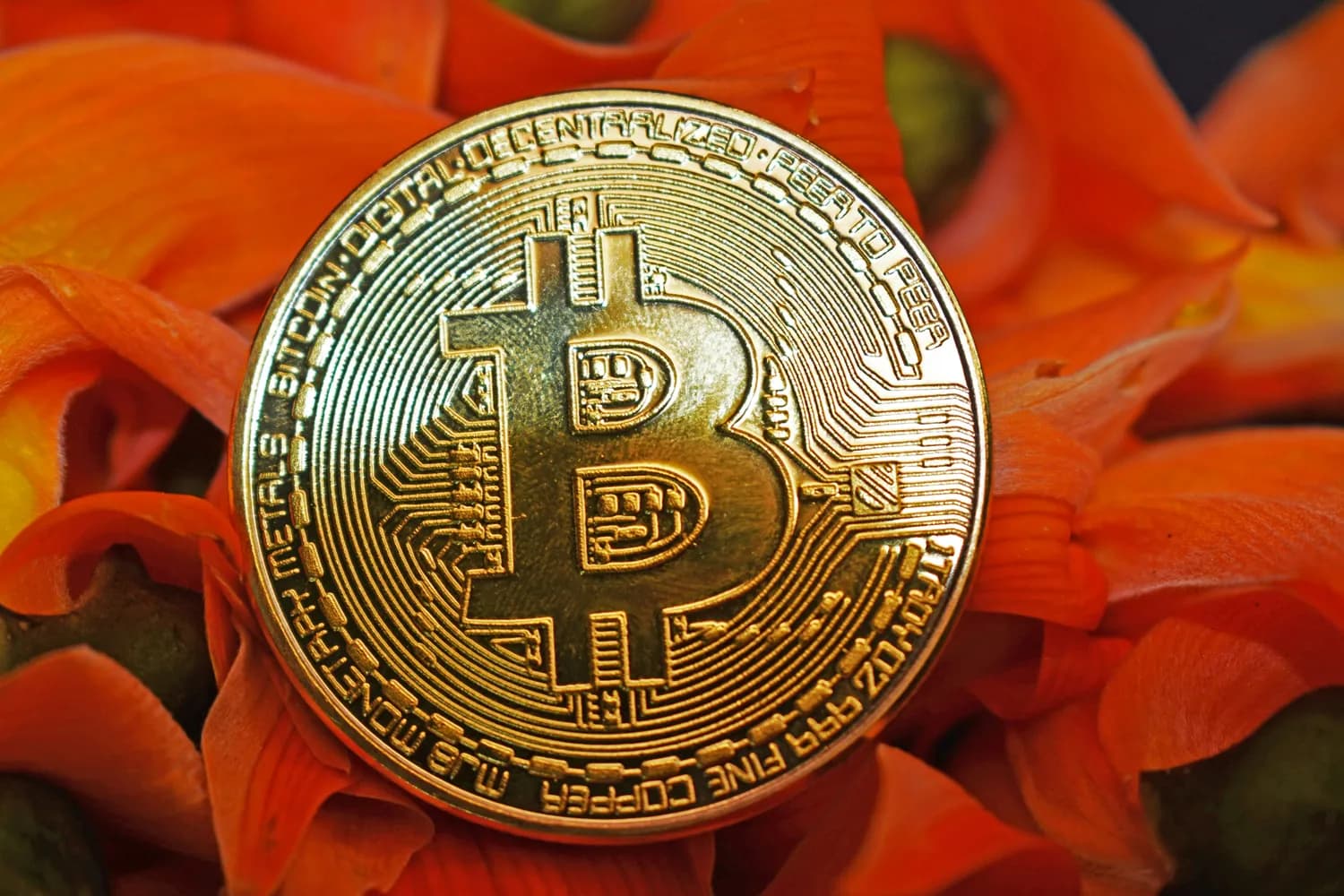 双十一理财新姿势：余额宝新手速成攻略