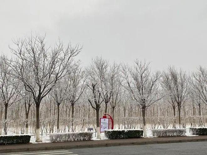 春寒未退！大雪又至！这三道汤记得多喝，暖身滋补过“寒春”