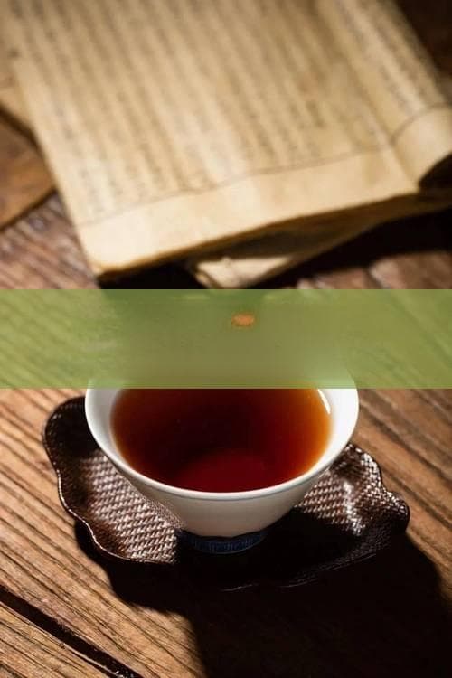 探寻普洱茶的起源地与发展历程