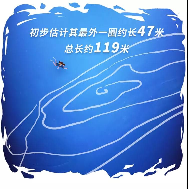 恐龙、蓝鲸、哥斯拉，动物大小的极限在哪？