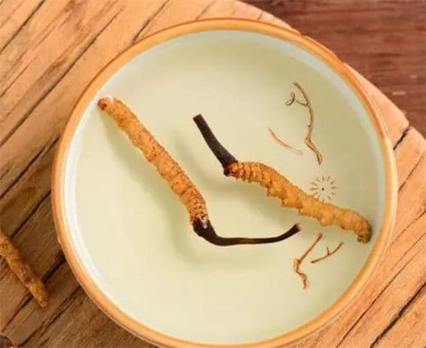 冬虫夏草饮片炮制方法 炮制过程中温湿度要严格控制