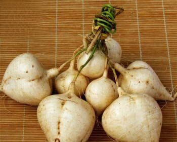 生吃还是熟吃？——探讨沙葛的最佳食用方式