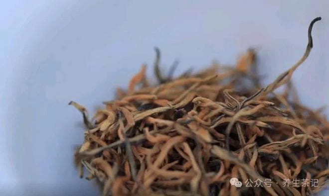 泡好一壶茶！这6点太重要了！