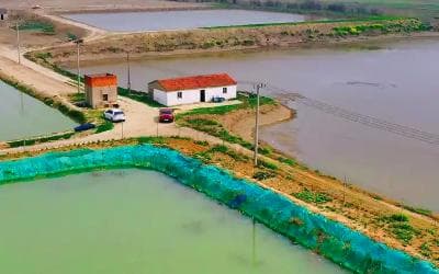传统土池养虾水质监测应用方案