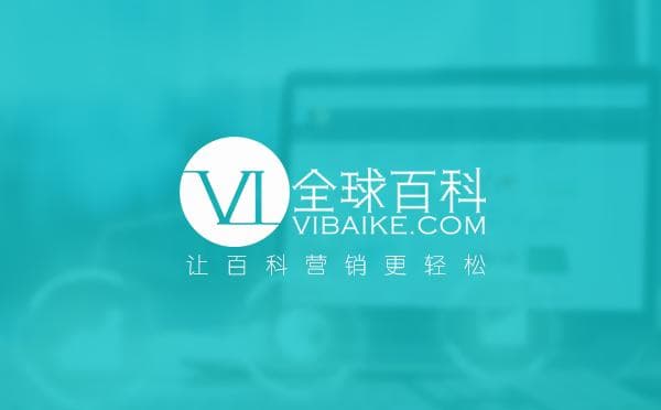 脊柱的结构与功能详解