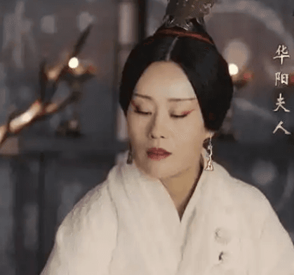 华阳夫人与芈月的亲属关系探析