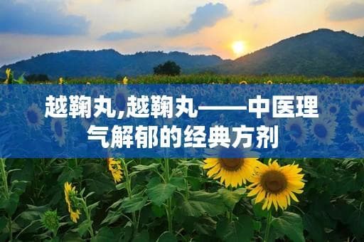 越鞠丸：中医理气解郁的经典方剂
