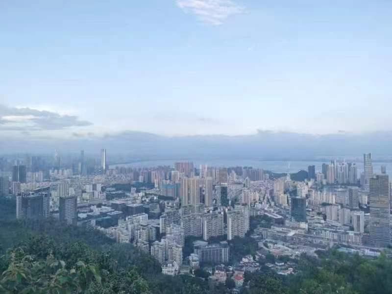 985毕业生，人到中年做起了家里蹲，家长：不工作不成家大学白读，你怎么看？