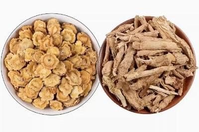 秦艽地骨皮汤：一剂兼具润肺止咳与强筋健骨的古方