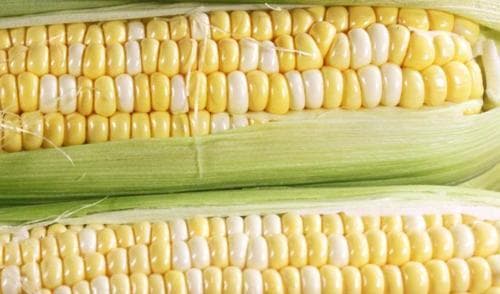 究竟玉米是属于谷类还是果实？（从植物学和食品学角度解析）