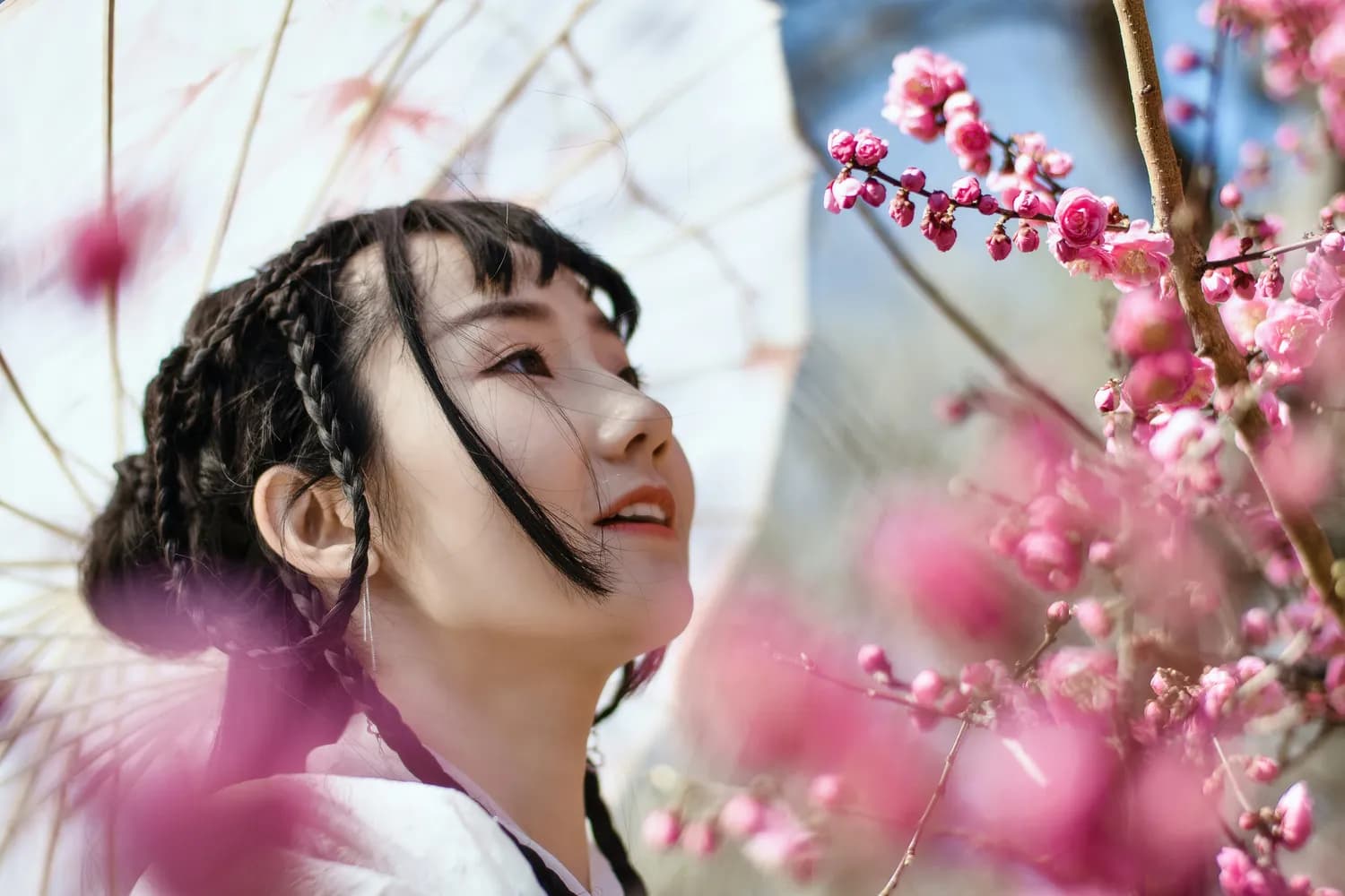 春节必看！《笑傲江湖》引爆票房