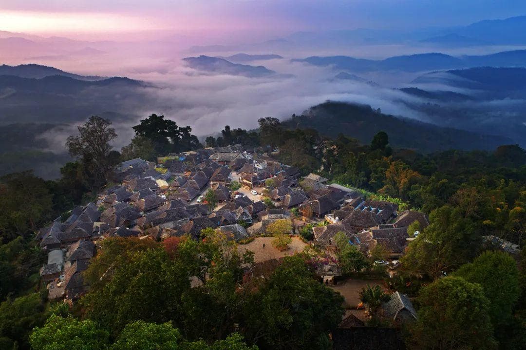 景迈山古茶林：人、茶、林和谐共生的世界文化遗产