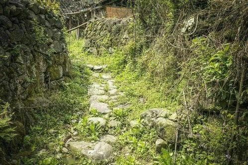 探索神秘北仍村：你准备好揭开它的面纱了吗？
