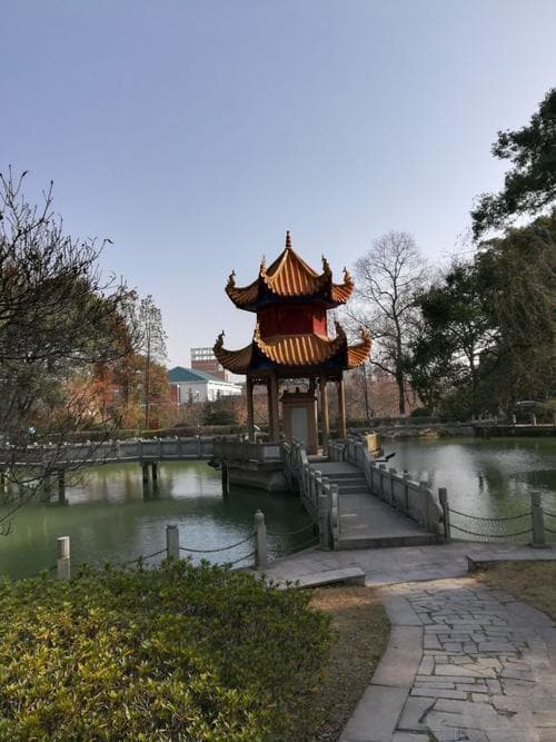 岳麓山旅游攻略：书院、美食、赏枫全都有