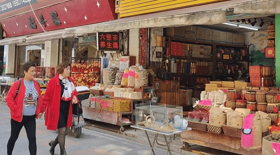 梧州：茶船古道拓新路 六堡老茶迎新生