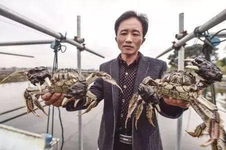 好水才能养好蟹 蟹池春季水质调节至关重要