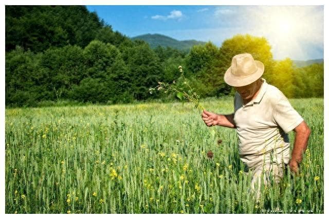 探索更高层次的养老途径：十种退休后的优质生活选择