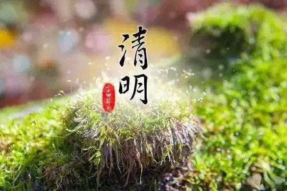 今年清明不一般，“上坟扫墓宜晚不宜早” 上坟时间如何选？