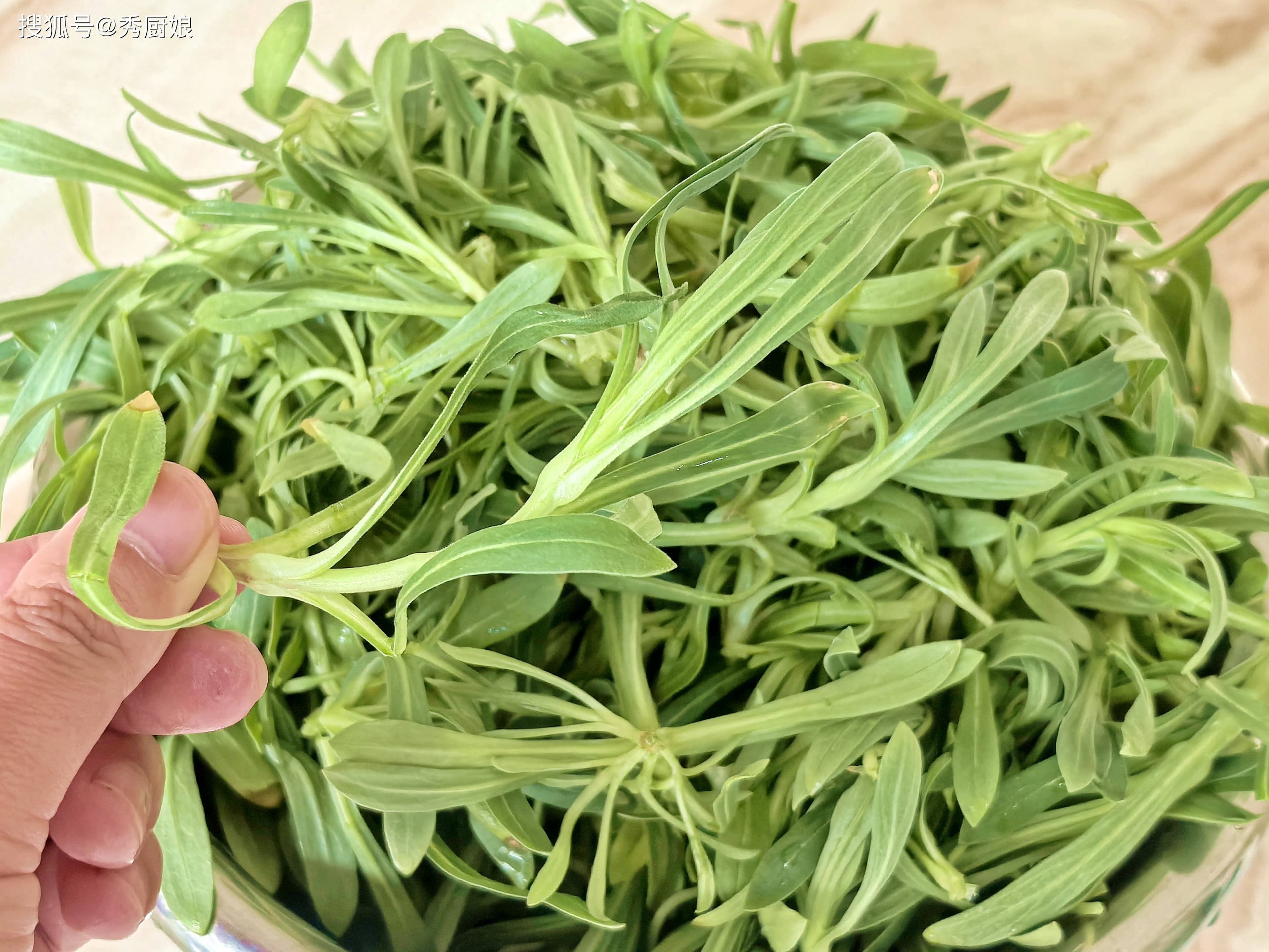 春天少吃大鱼大肉，多吃这野菜，养肝明目，清热润肺，鲜嫩营养高